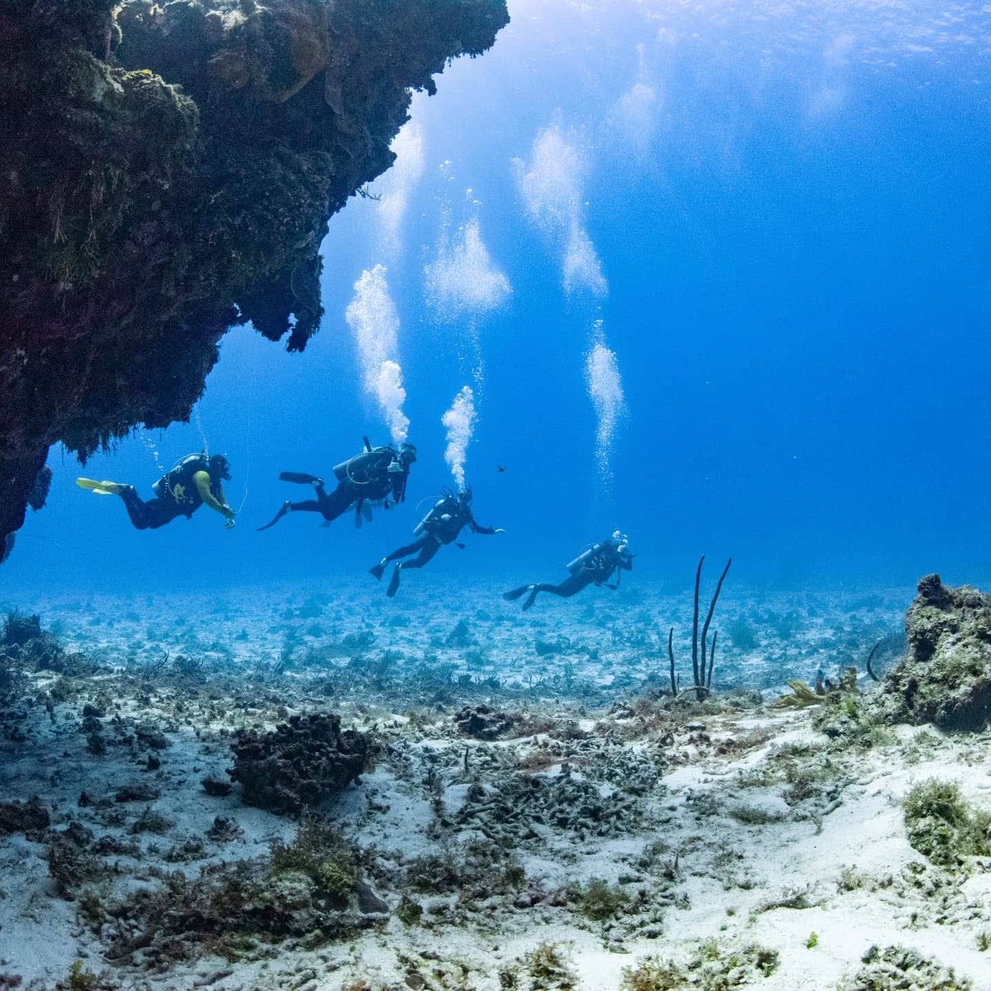 Scuba diver exploring a coral reef in Cozumel