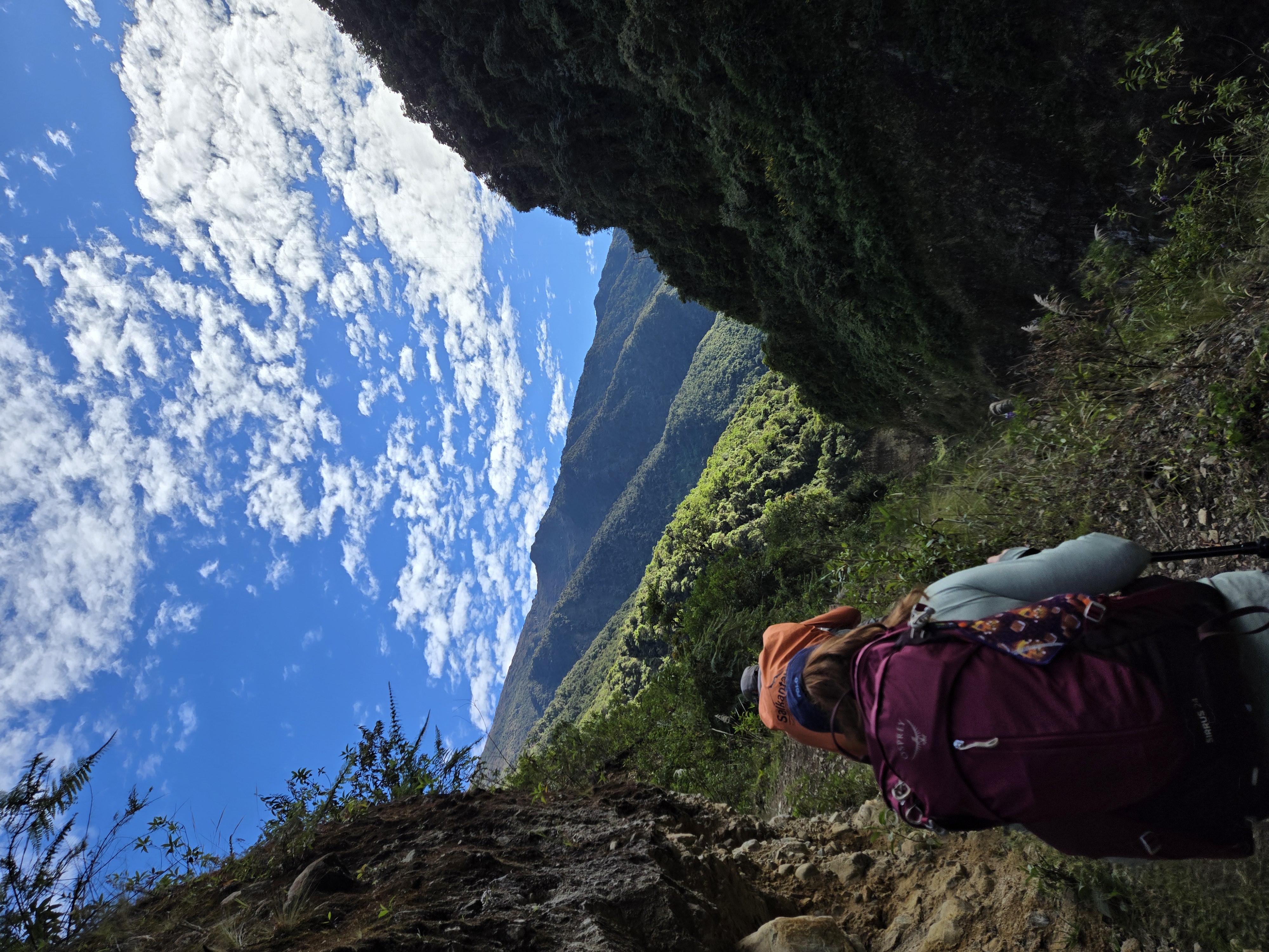 Hiking through dense green vegetation in the Peruvian jungle