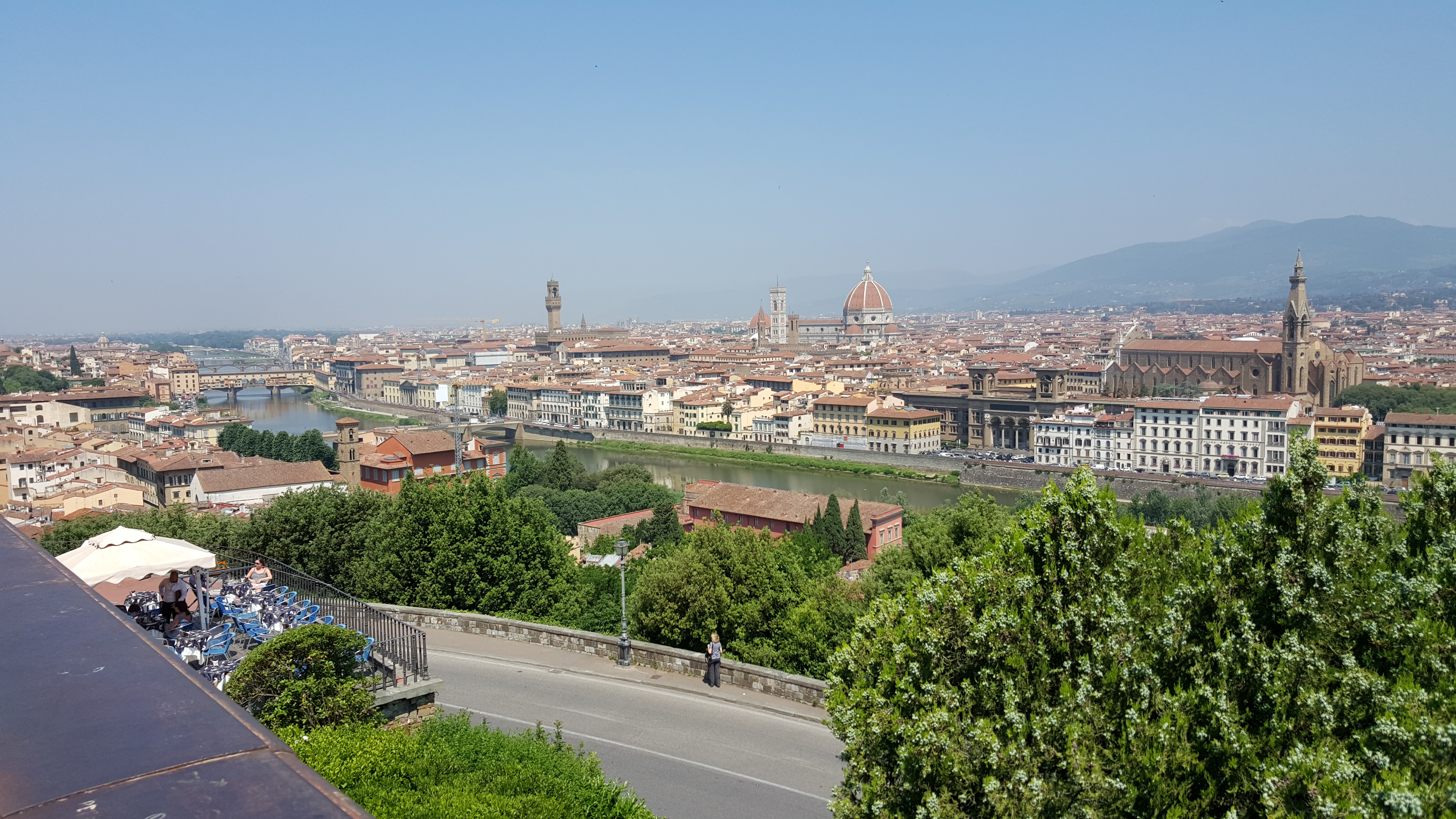 Florence viewed from above