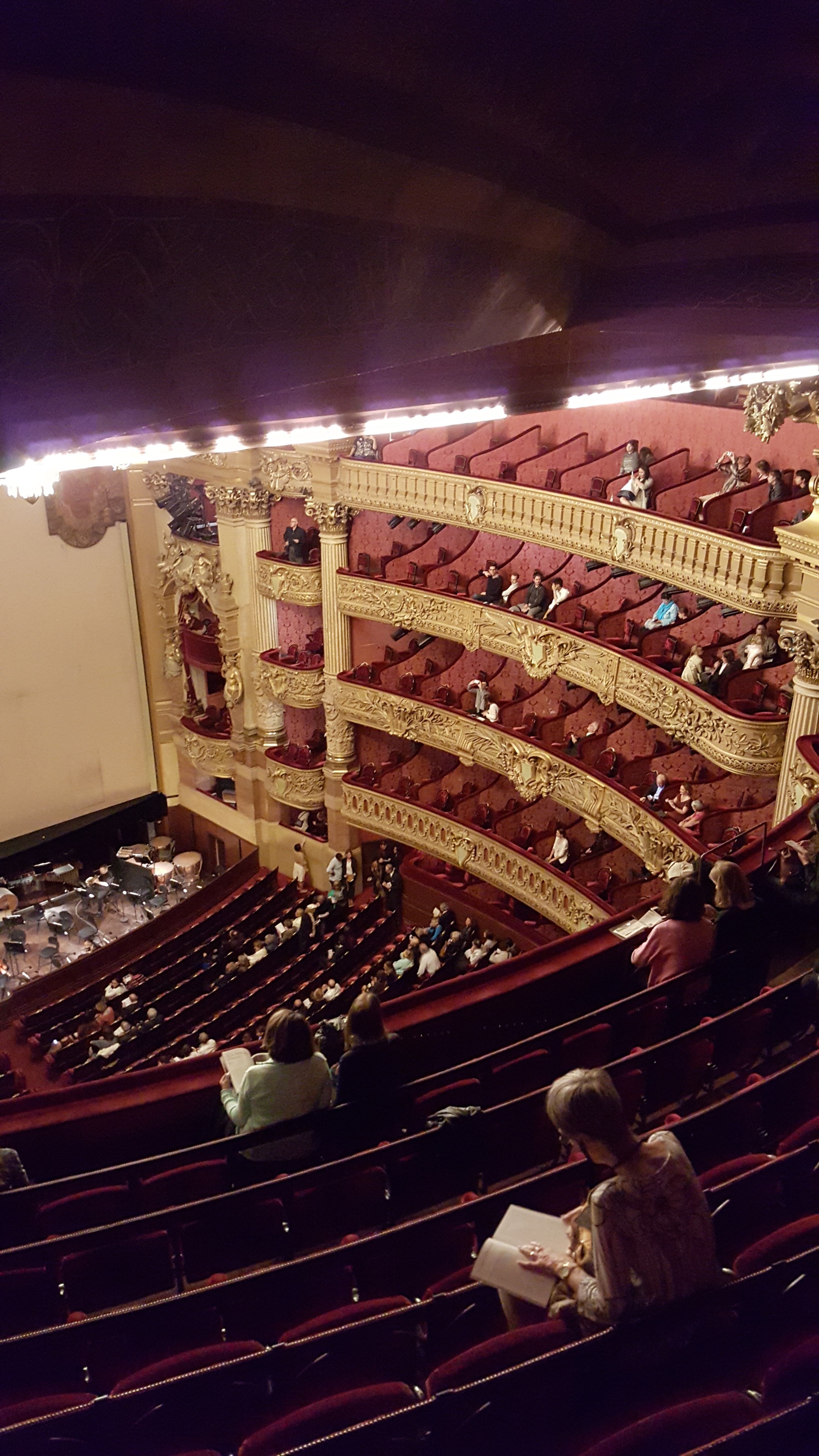 View from high seats during a ballet at the Palais Garnier