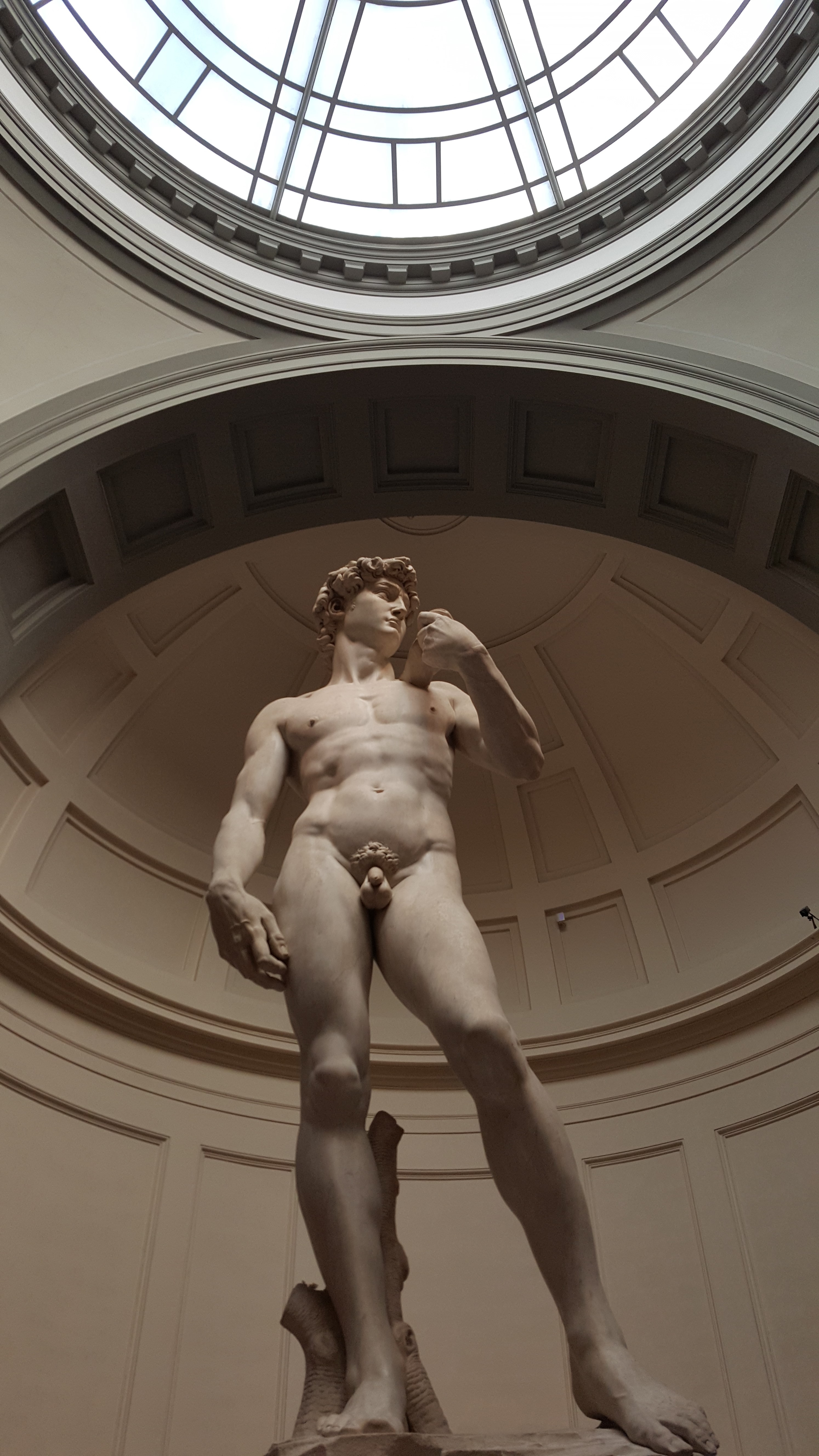 Michelangelo's David in Florence