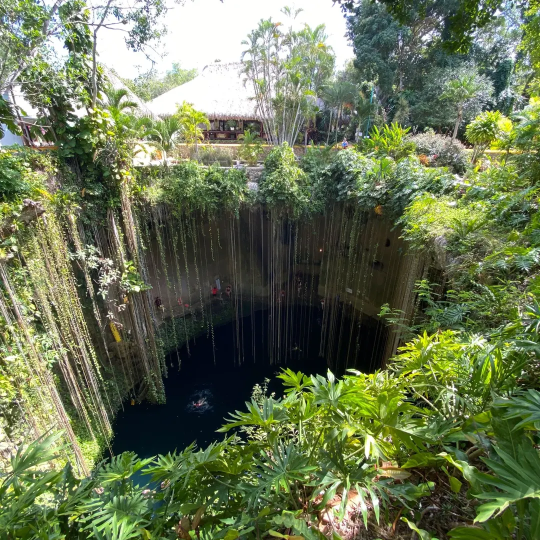 Vegetation hanging into Cenote Ik Kil